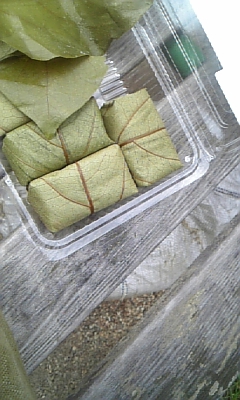100719_120357.jpg
