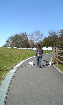 101205_100437.jpg