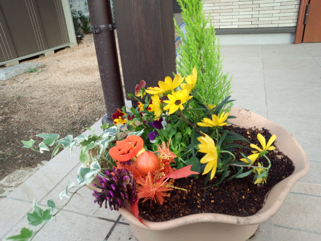 IMG_20141007_162226403.jpg