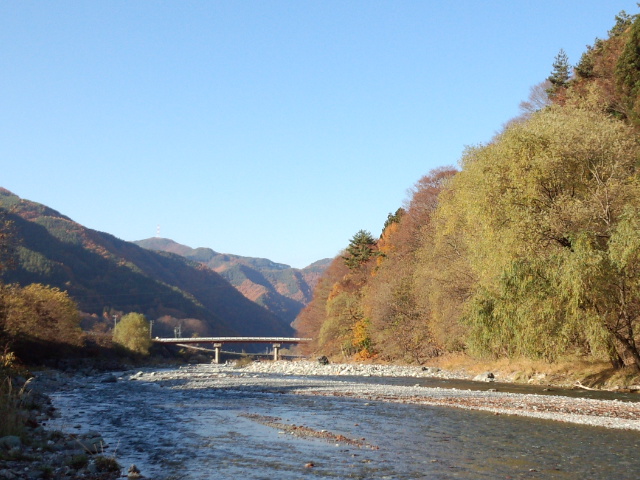 IMG_20141107_144935339.jpg