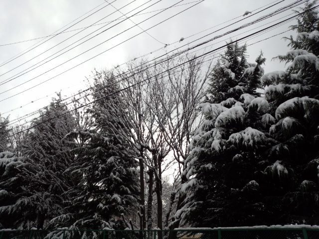 IMG_20141206_095621192.jpg