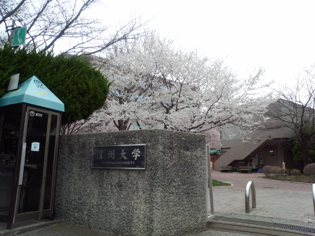 IMG_20150404_101113126.jpg
