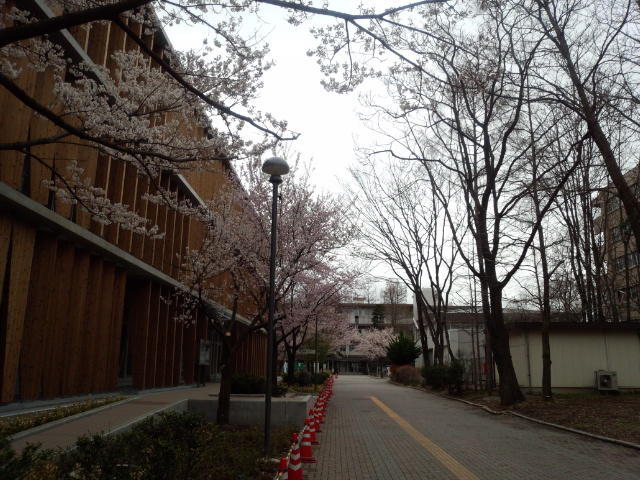 IMG_20150404_101017599.jpg