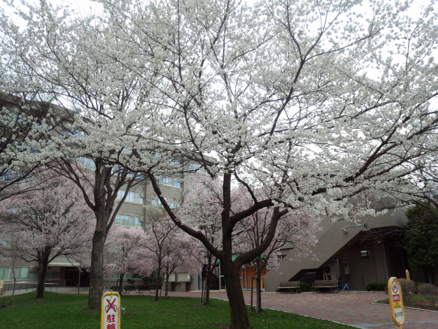 IMG_20150404_100926813.jpg