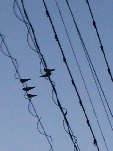 DSC_0641.JPG