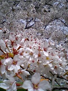 080402_1239~0001.jpg