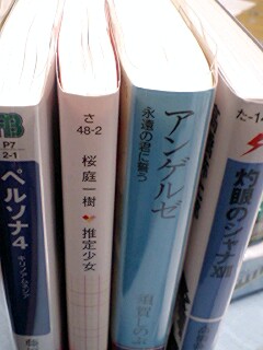他の文庫本と比較してみた