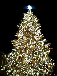 091222_2144~0003.jpg