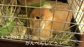 140116_225832_ed.jpg