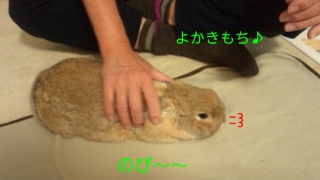 140120_195539_ed.jpg