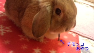 140122_203036_ed.jpg