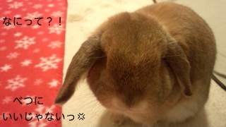 140126_215939_ed.jpg