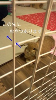 140128_210323_ed.jpg