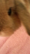 140128_210228_ed.jpg