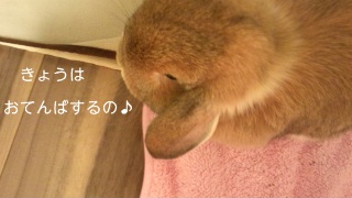 140128_210257_ed.jpg