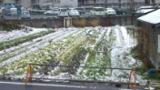 140208_081630_ed.jpg
