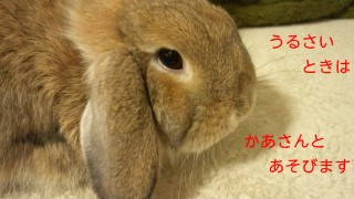 121112_212037_ed.jpg