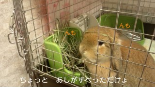 140225_070708_ed.jpg