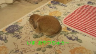 140429_213938_ed.jpg