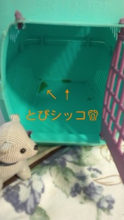 140522_184629_ed.jpg