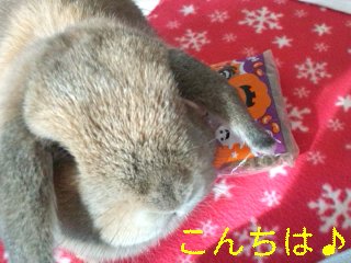141223_133655_ed.jpg