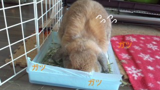 141230_093150_ed.jpg