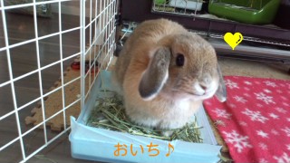 141230_093159_ed.jpg