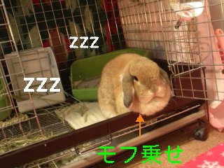 141230_180059_ed.jpg