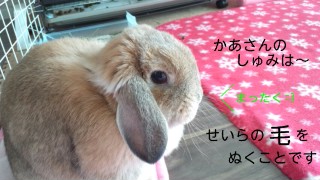 150224_100908_ed.jpg