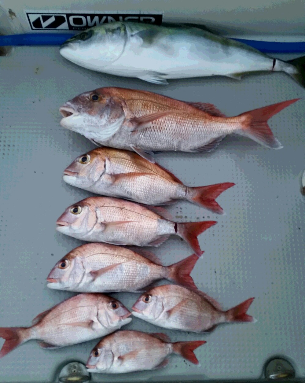 20140914_181506-1.jpg