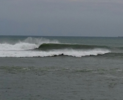 20141004_165553-1.jpg