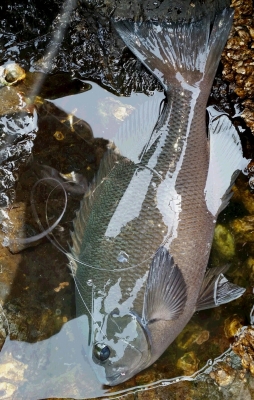 20150125_120825-1.jpg