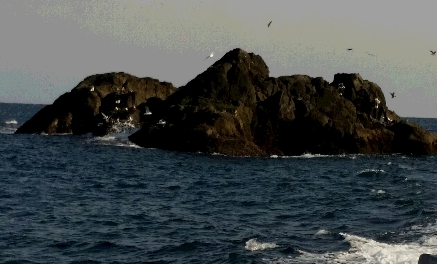 20150228_151917-1.jpg