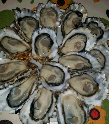 20150226_102753-1.jpg