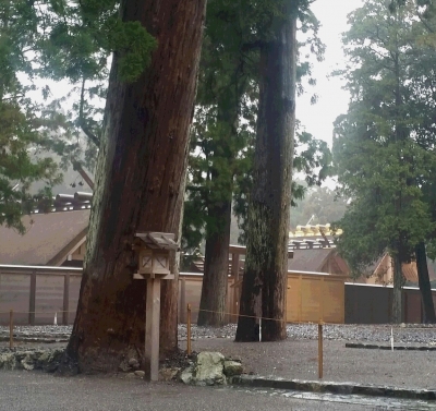 20150226_140233-1.jpg