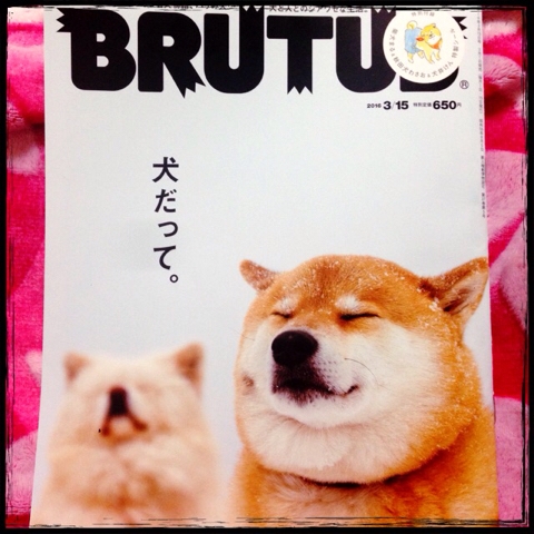 2016年03月の記事 Pansky Blog