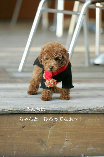 僕からもお願いするわ