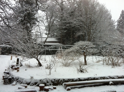 雪