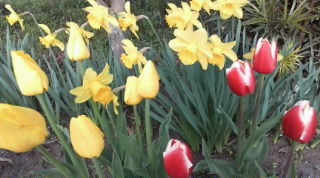 20080321070027.jpg