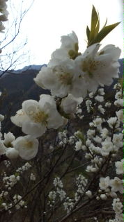 20080402143206.jpg