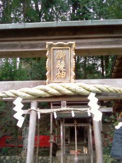 髪の神様