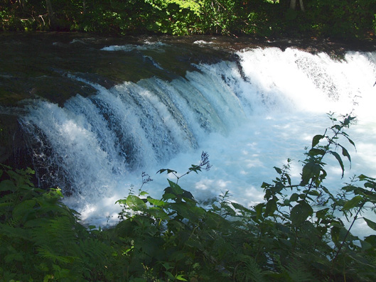0814_k8.jpg