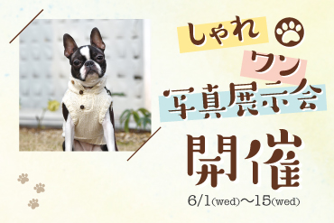しゃれワン写真展示会