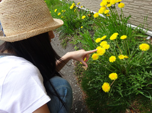 140521chihara01.jpg