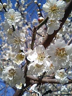 20070225_132548.jpg