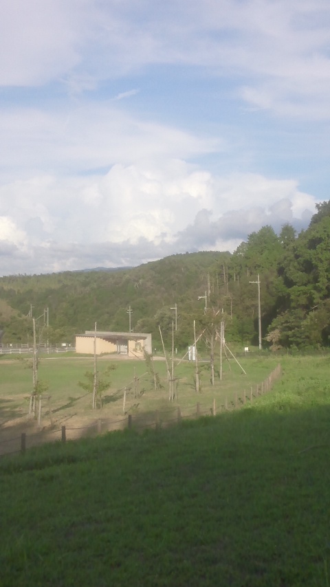140823_1717~01.jpg
