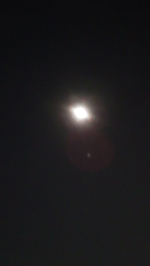 140908_2101~02.jpg