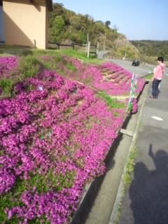 150418_1612~02.jpg