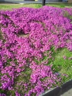 150418_1612~01.jpg