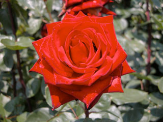 �Х���鯡� ��Ǯ���